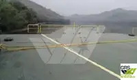 驳船 待售