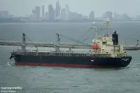 散货船 待售