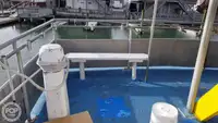 双体船 待售