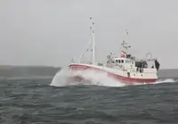 Trawler 出售