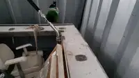 拖网渔船 待售