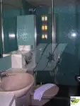 邮轮 待售