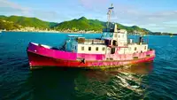 General Cargo/Multi-purpose 待售