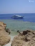 潜水支援船 待售