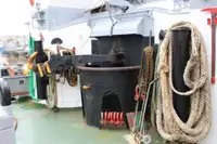 拖船 待售