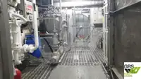 邮轮 待售