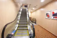 RoPax船 待售