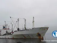 冷藏船 待售