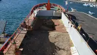集装箱船 待售