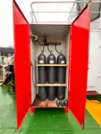 General Cargo/Multi-purpose 待售
