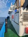 拖船 待售