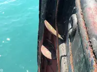 拖船 待售