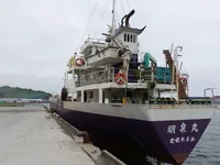 General Cargo/Multi-purpose 待售