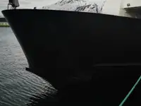 滚装船 待售