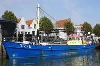 Trawler 出售