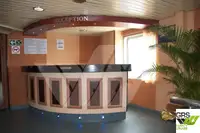 Ro-Ro ship 出售