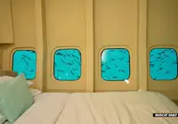 双体船 待售
