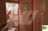 滚装船 待售