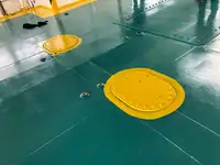 滚装船 待售