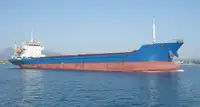 散货船 出售