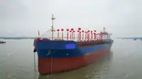 集装箱船 出售