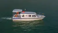 邮轮 待售