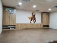 冷藏船 待售