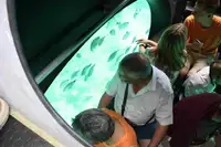 客船 待售