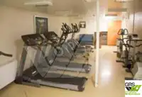 集装箱船 待售
