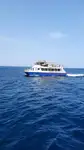 双体船 出售