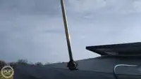 集装箱船 待售