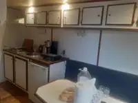 集装箱船 待售