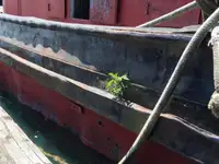 拖船 待售