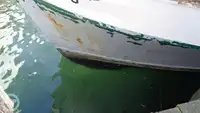 拖网渔船 待售