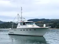 科考船 待售