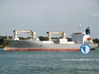 冷藏船 待售