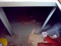 拖船 待售
