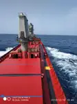 散货船 待售