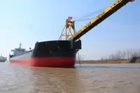 散货船 出售