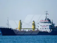 General Cargo/Multi-purpose 待售