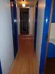 测量船 待售