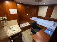集装箱船 待售