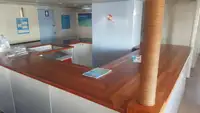 双体船 出售