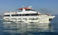 客船 出售