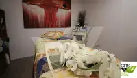 邮轮 待售