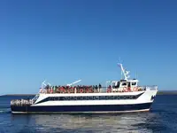 客船 出售