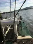挖泥船 待售