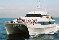 双体船 出售