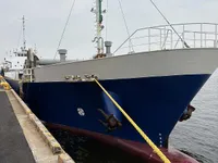 General Cargo/Multi-purpose 待售