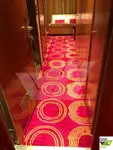 邮轮 待售